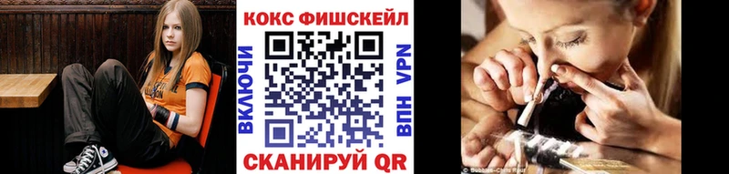COCAIN FishScale  Купить где  Богородск 