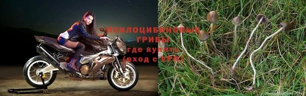 ALPHA-PVP Верхний Тагил