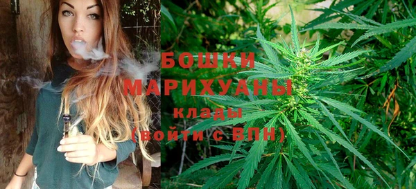 прущие грибы Гусев